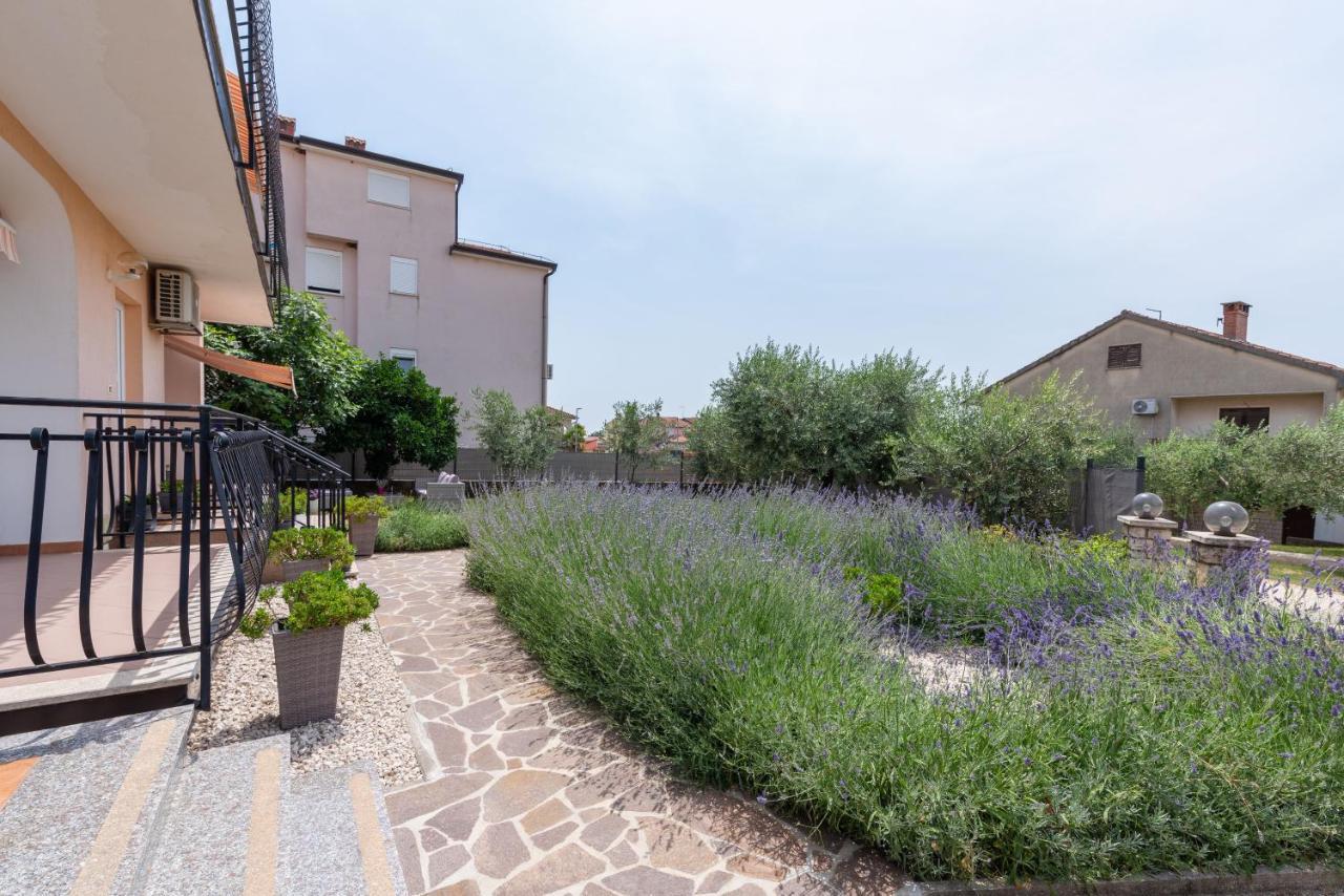 Apartment Masha Novigrad Istria Eksteriør billede